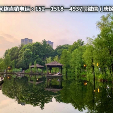 ���ɽ��ŷ����˳ǡ�����Ŀ��ϸ���ܡ�